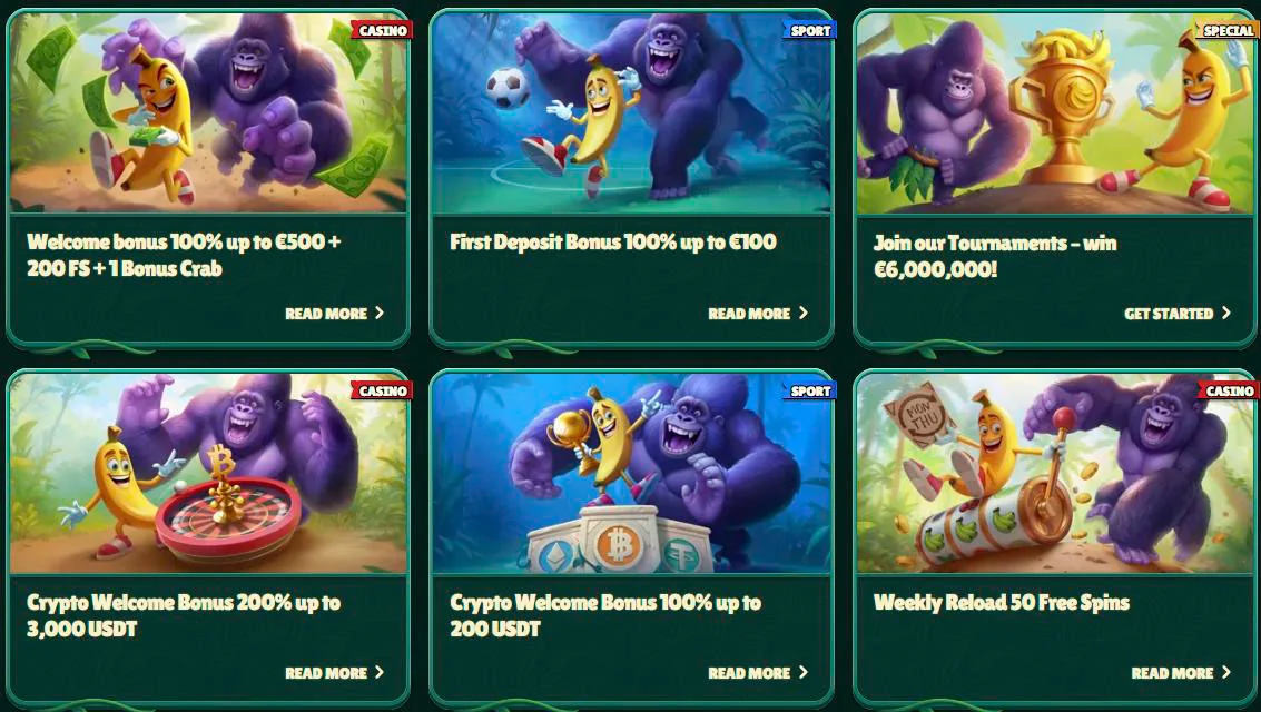 GoKong De Startseite Online-Shop im &Uuml;berblick